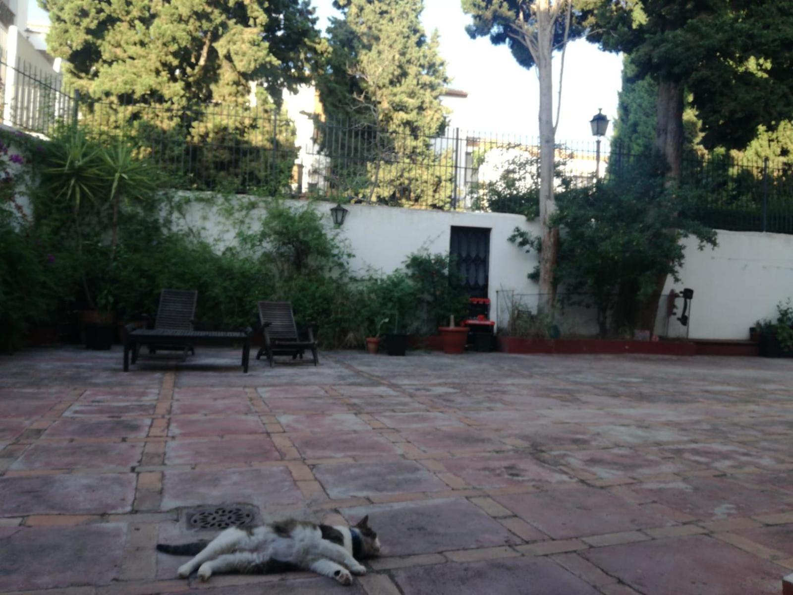 דירות גרנדה Casa Del Agua מראה חיצוני תמונה